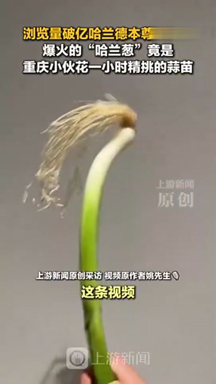 cos哈兰德的是蒜苗不是葱！重庆小伙才是原作者