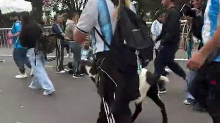 GOAT！球迷牵山羊去球场看梅西告别战