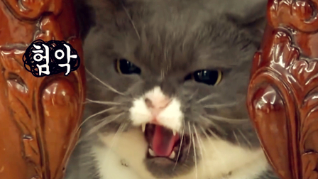 作为叱咤情场的帅喵