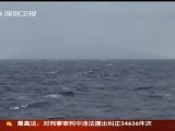 国务院新组建4部门