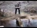 猫咪小心翼翼过独木桥 又是成精的喵星人