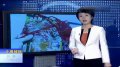 销售商揭黑幕:人造海参最好勿食