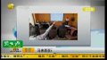 马来西亚召开发布会:没有所谓“血燕”
