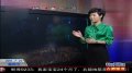 白领宣泄压力新招数 光脚“走火”好惊险