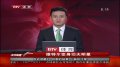体育-维特尔变身功夫明星 一招一式很有范20120414
