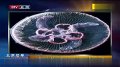 北极深海现透明生物 形似外星人