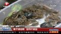 深圳数百拆迁户家中被人投放上千只毒蝎