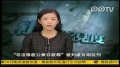 社会能见度：吴英的罪与罚