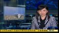 南方多地旱情严重 农田干涸民众饮水困难