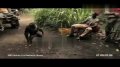 实拍黑猩猩持AK-47向士兵扫射