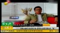 汤镇业重提与翁美玲旧情 苗侨伟出面替汤镇业洗“冤”