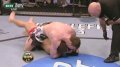 UFC140期-轻重量级约翰•麦克德希VS丹尼斯•哈尔曼