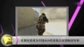 TGA每周精选第一期 走进CF走进白鲨