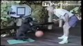 宠物爱运动:狗狗同主人玩蓝球