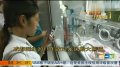 成都诞生2011年首对龙凤胎大熊猫