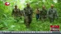 普京08年英勇打虎四年后疑为作秀