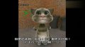 咆哮Tom猫之《痛苦的HR》
