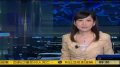 加拿大外长:遣返赖昌星并无政治干预