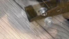 1517788327878.jpg