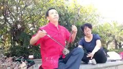 二胡十五的月亮独奏曲谱_十五的月亮二胡简谱