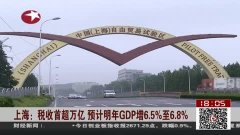 上海GDP不高为何税收高_上海夜景