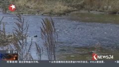 沈阳人口死亡数_沈阳市区人口多少