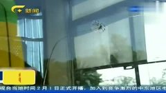 搜公交视频 3.jpg