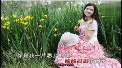 又见山里红简谱(祁隆)_又见山里红祁隆