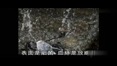 水怪真实视频完整版 3.jpg