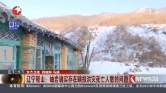 辽宁鞍山岫岩人口数_鞍山岫岩地图