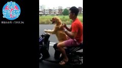 什么才叫真正的见识 3.jpg