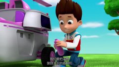 汪汪队:莱德带领狗狗做活动,真是期待,大家快来看吧