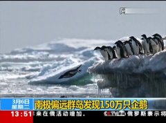 企鹅岛建设视频 1520322712621.jpg