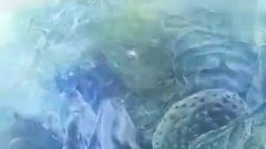 视频动漫特效 3.jpg