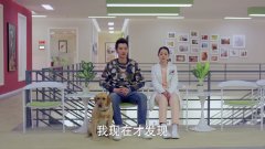 神犬:丁涵靠在艾亮的肩膀睡着,小心呵护,小七吃醋的小眼神绝了