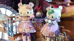 神秘小猫的视频 3.jpg