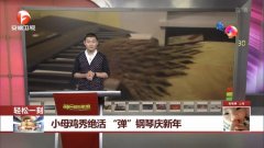 每日新闻报道 1486209647855.jpg