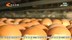 鸡蛋价格视频 1512259328711.jpg