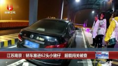 现在南京的车能进靖江吗