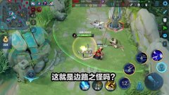 这就是边路之怪吗