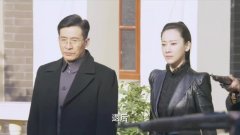 刀光枪影:秦心蓝被警方抓获,任非常无能为力,眼睁睁看