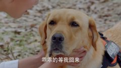 神犬小七2:欧叶担心大家的安危,不得不跟随着理查德出海