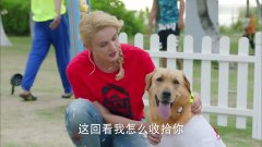 神犬小七2:心机女答应训练小七,怎知欧叶刚走,就恶整起小七来