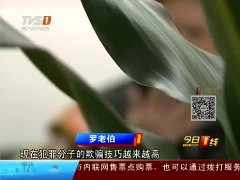 今日一线报料电话