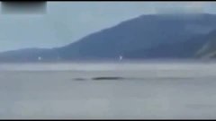 喀纳斯湖水怪最新视频播放 3.jpg